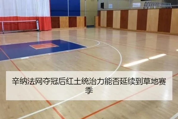 辛纳法网夺冠后红土统治力能否延续到草地赛季